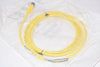 NEW Allen Bradley 889D-F4AC-2 889D QD Cordset