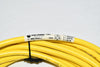 NEW Allen Bradley 889D-R4AC-5 DC Micro Cable,Female, Rt Angle (Int Threads),Female, Right Angle