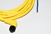 NEW Allen Bradley 889D-R4AC-5 DC Micro Cable,Female, Rt Angle (Int Threads),Female, Right Angle