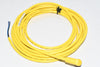 NEW Allen Bradley 889D-R4AC-5 DC Micro Cord Set or Patch Cord