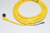 NEW Allen Bradley 889D-R4AC-5 DC Micro Cord Set or Patch Cord