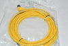 NEW Allen Bradley, 889D-R4AC-5, DC Micro (M12), Female, R-Ang, 4-Pin, PVC Cable, Yellow