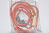 NEW Carrier EF-33CVW 245 Valve, Gas Ignitor Wires