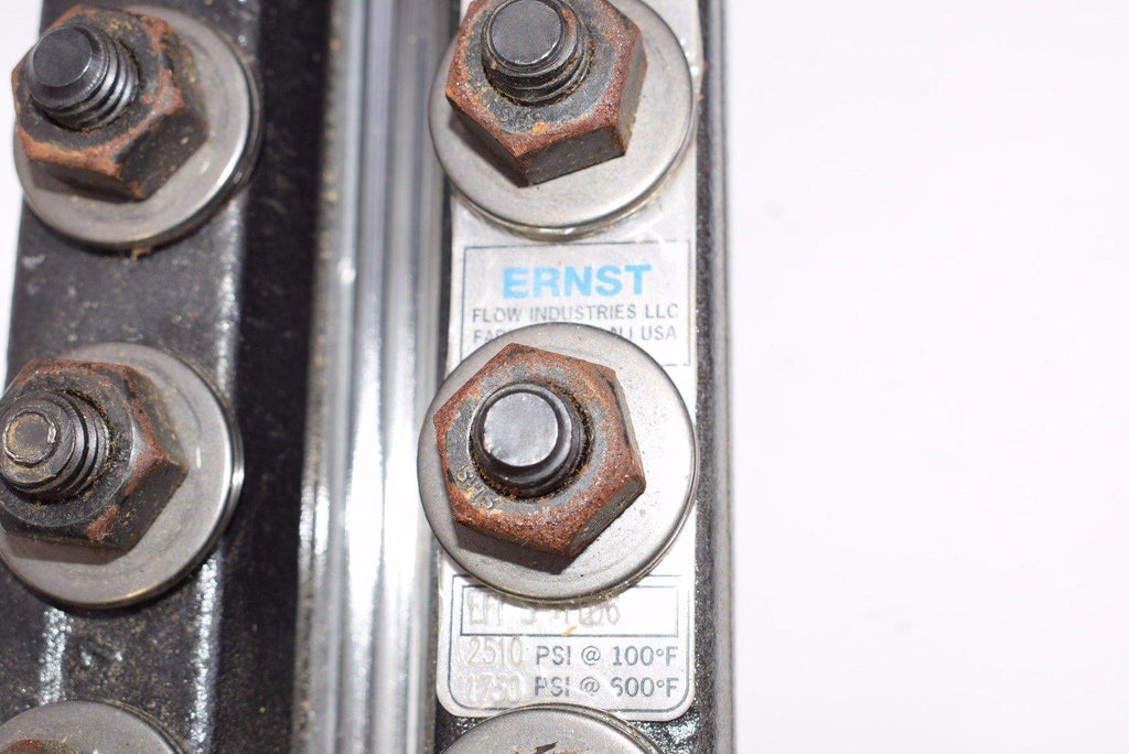 NEW ERNST Flow Industries, Sight Flow Rate Meter EFI S1106 2510 PSI