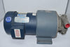 NEW Isochem Pulsafeeder CMC1-A ANEDYSS Centrifugal Pump Leeson C6T34FC9C 3/4 HP Motor