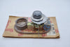 NEW Robertshaw SE 5000 709 Commercial Electric Thermostat 60F - 250F 5000-709