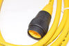 NEW TURCK Mini-Fast, Model: RS 40-2M, Cord Set Single Ended