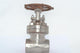 NEW VOGT R3909-A 2-1/4'' Gate Valve Forged Steel