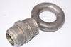 RH 1'' Eyebolt, Heavy-Duty, 2'' Thread