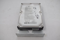 Seagate Barracuda ES.2 1TB, SATA, Internal Hard Drive (ST31000340NS) w/caddy