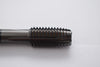 Walter EP2026302-M12 Spiral Point Tap, M12-1.75, Taper, Metric Coarse, 4 Flutes, Hard Lube
