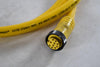 Woodhead 47224 10pin Male/female Pvc Yellow Cable 600VAC Cordset