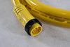 Woodhead 47224 10pin Male/female Pvc Yellow Cable 600VAC Cordset